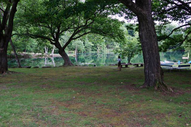 f:id:sabotennmegane:20180908175028j:plain エメラルドグリーンの鳥沼公園の沼
