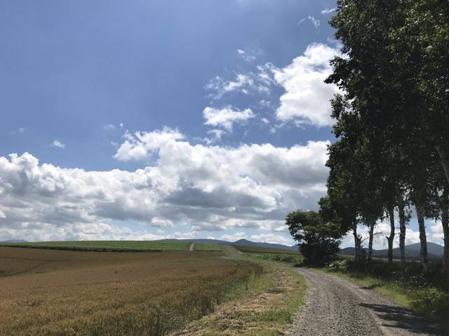 f:id:sabotennmegane:20180909215527j:plain f:id:sabotennmegane:20180909215527j:plain