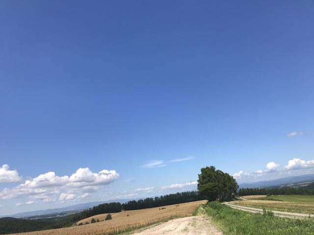 f:id:sabotennmegane:20180909215655j:plain 美瑛