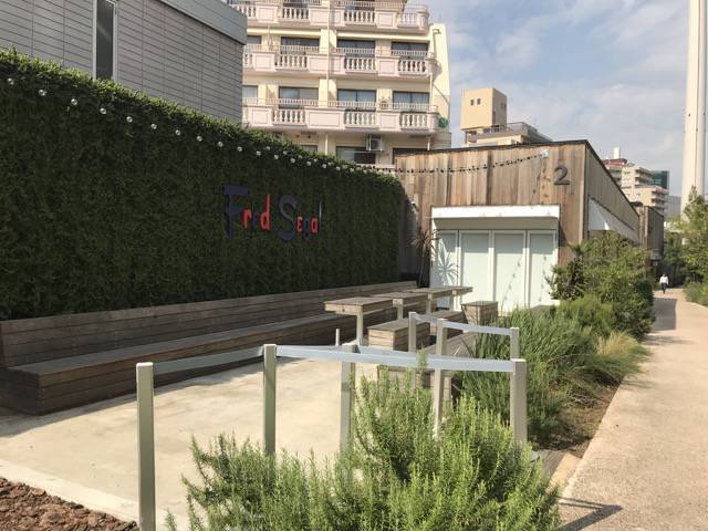f:id:sabotennmegane:20180918184319j:plain f:id:sabotennmegane:20180918184319j:plain