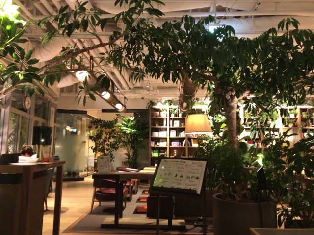 f:id:sabotennmegane:20180927223933j:plain ボンドルフィボンカフェのワークスペース