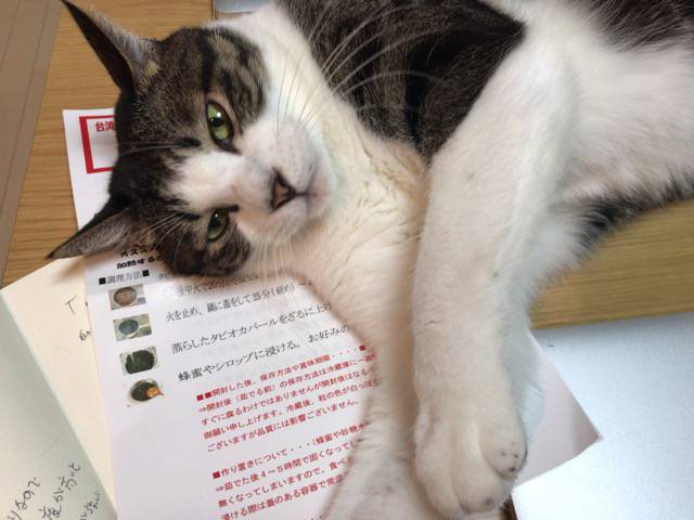 f:id:sabotennmegane:20180928204358j:plain タピオカの説明書