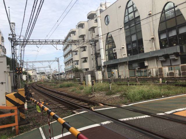 f:id:sabotennmegane:20181003221321j:plain f:id:sabotennmegane:20181003221321j:plain