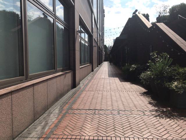f:id:sabotennmegane:20181017204457j:plain f:id:sabotennmegane:20181017204457j:plain