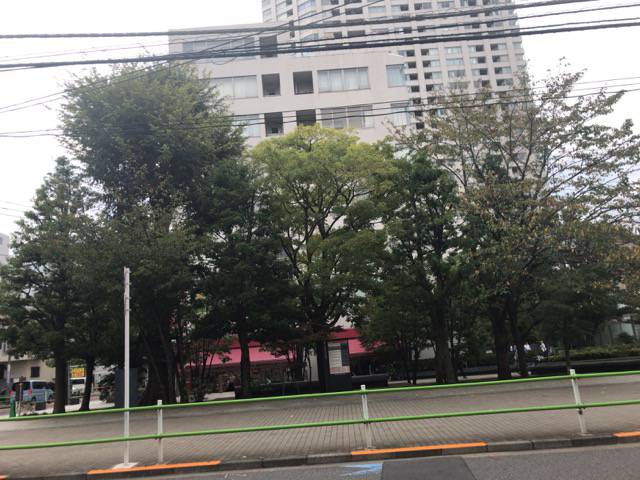 f:id:sabotennmegane:20181019174844j:plain f:id:sabotennmegane:20181019174844j:plain