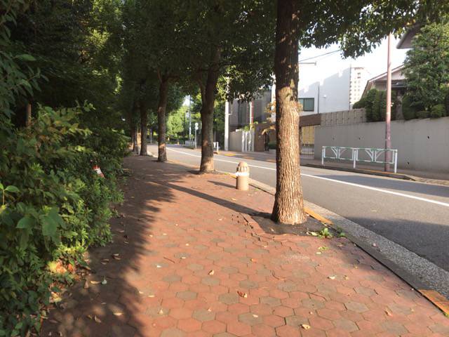 f:id:sabotennmegane:20181020152710j:plain 恵比寿で散歩道