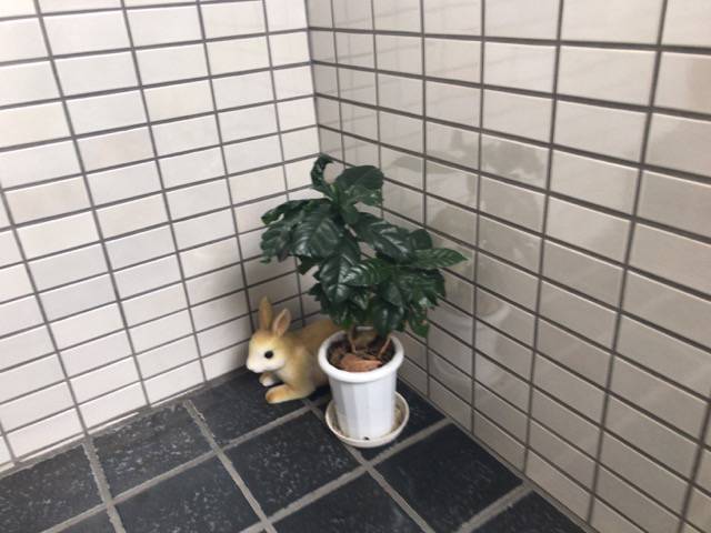 f:id:sabotennmegane:20181028232708j:plain クロミミラパンはうさぎが目印