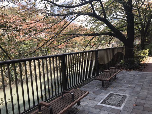 f:id:sabotennmegane:20181109133606j:plain f:id:sabotennmegane:20181109133606j:plain