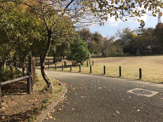 f:id:sabotennmegane:20181109133647j:plain f:id:sabotennmegane:20181109133647j:plain