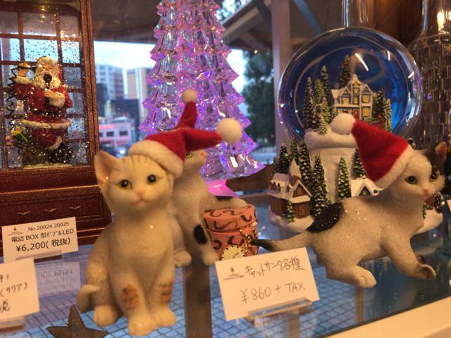 f:id:sabotennmegane:20181120213450j:plain f:id:sabotennmegane:20181120213450j:plain