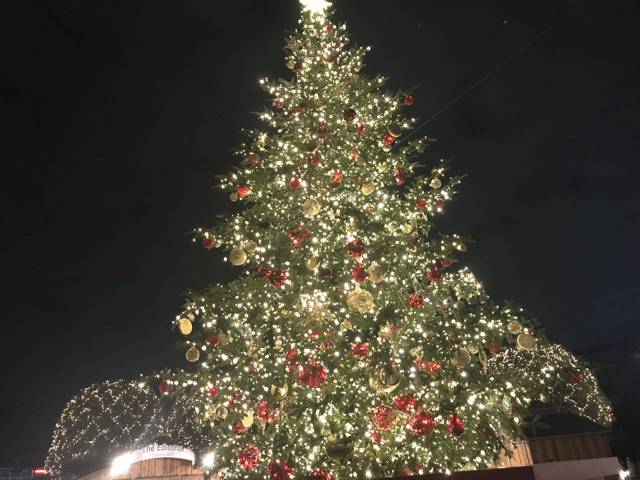 f:id:sabotennmegane:20181120214436j:plain f:id:sabotennmegane:20181120214436j:plain
