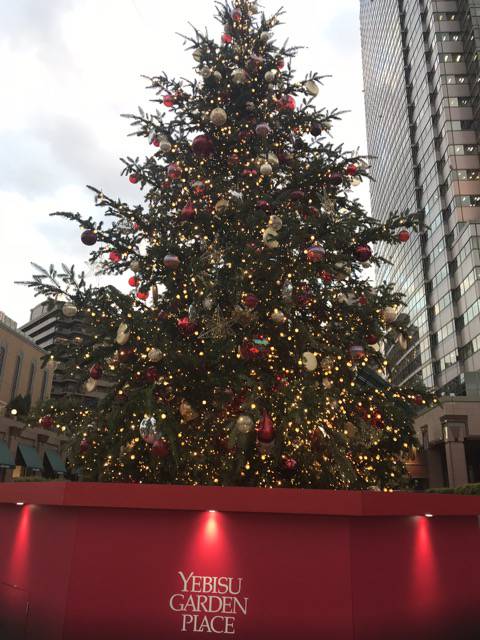 f:id:sabotennmegane:20181120214548j:plain f:id:sabotennmegane:20181120214548j:plain