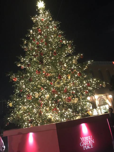 f:id:sabotennmegane:20181121222425j:plain f:id:sabotennmegane:20181121222425j:plain