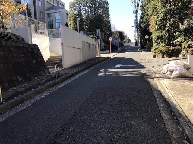 f:id:sabotennmegane:20181221165431j:plain f:id:sabotennmegane:20181221165431j:plain