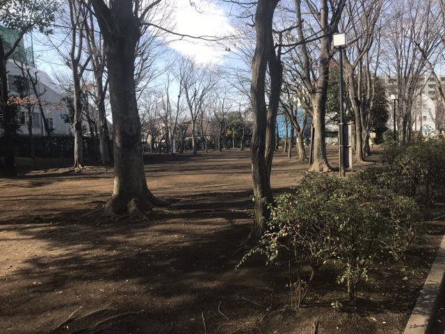 f:id:sabotennmegane:20190210130824j:plain 中央緑地公園