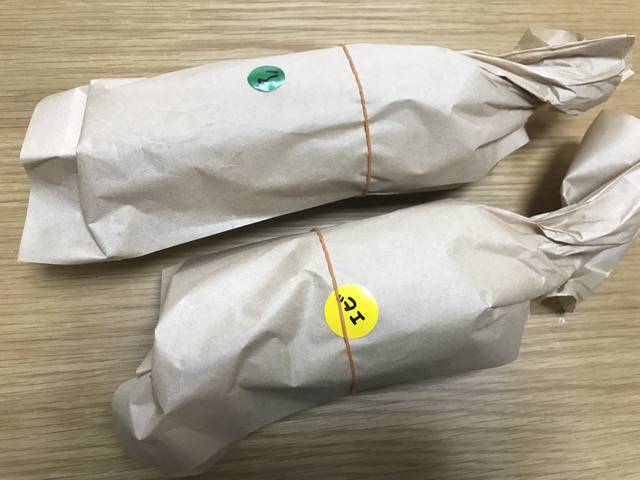 f:id:sabotennmegane:20190214143612j:plain f:id:sabotennmegane:20190214143612j:plain