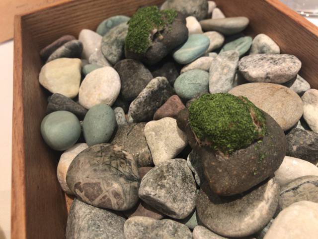 f:id:sabotennmegane:20190304163206j:plain f:id:sabotennmegane:20190304163206j:plain
