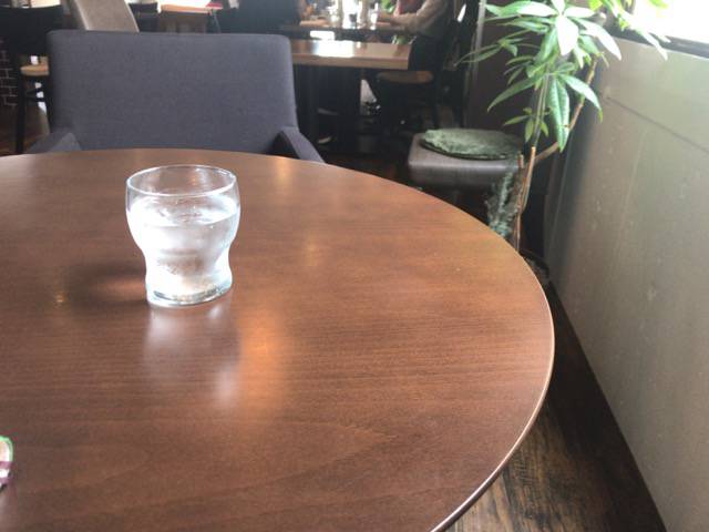 f:id:sabotennmegane:20190315212210j:plain f:id:sabotennmegane:20190315212210j:plain