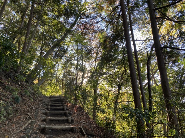 高尾山4号路