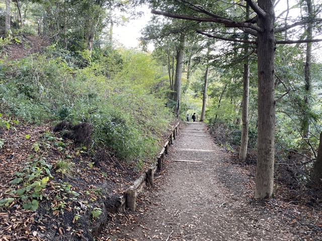 高尾山4号路